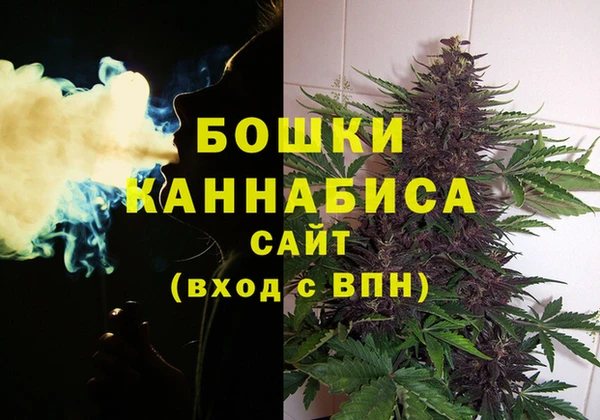 соль ск Белокуриха
