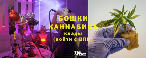 соль ск Белокуриха
