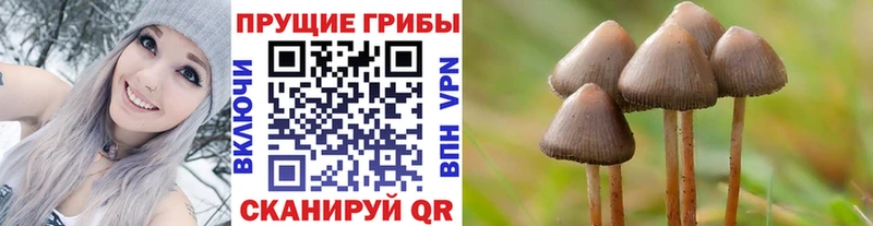 Галлюциногенные грибы MAGIC MUSHROOMS  Острогожск 